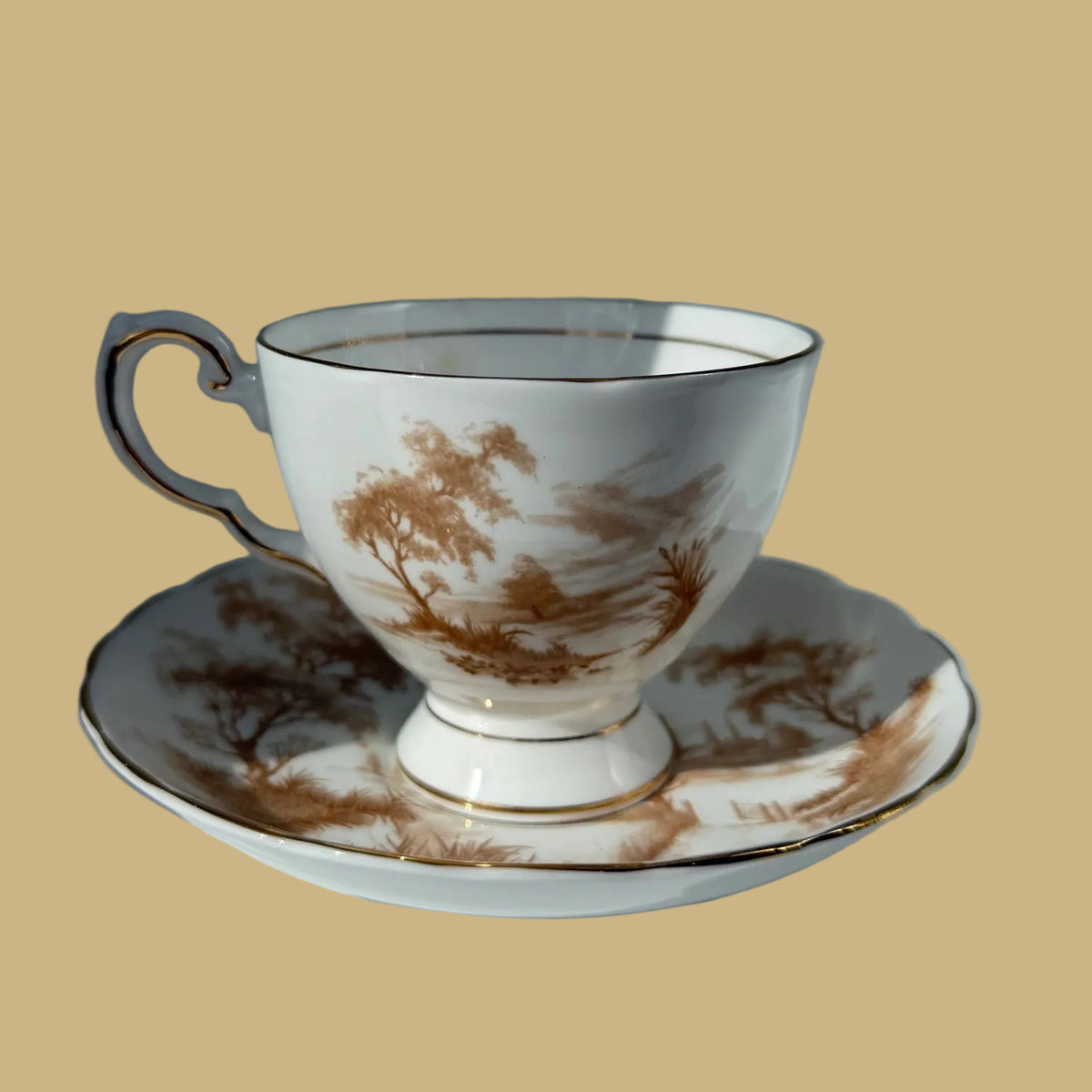 Tuscan Fine Bone China Tea Cup & Saucer Set