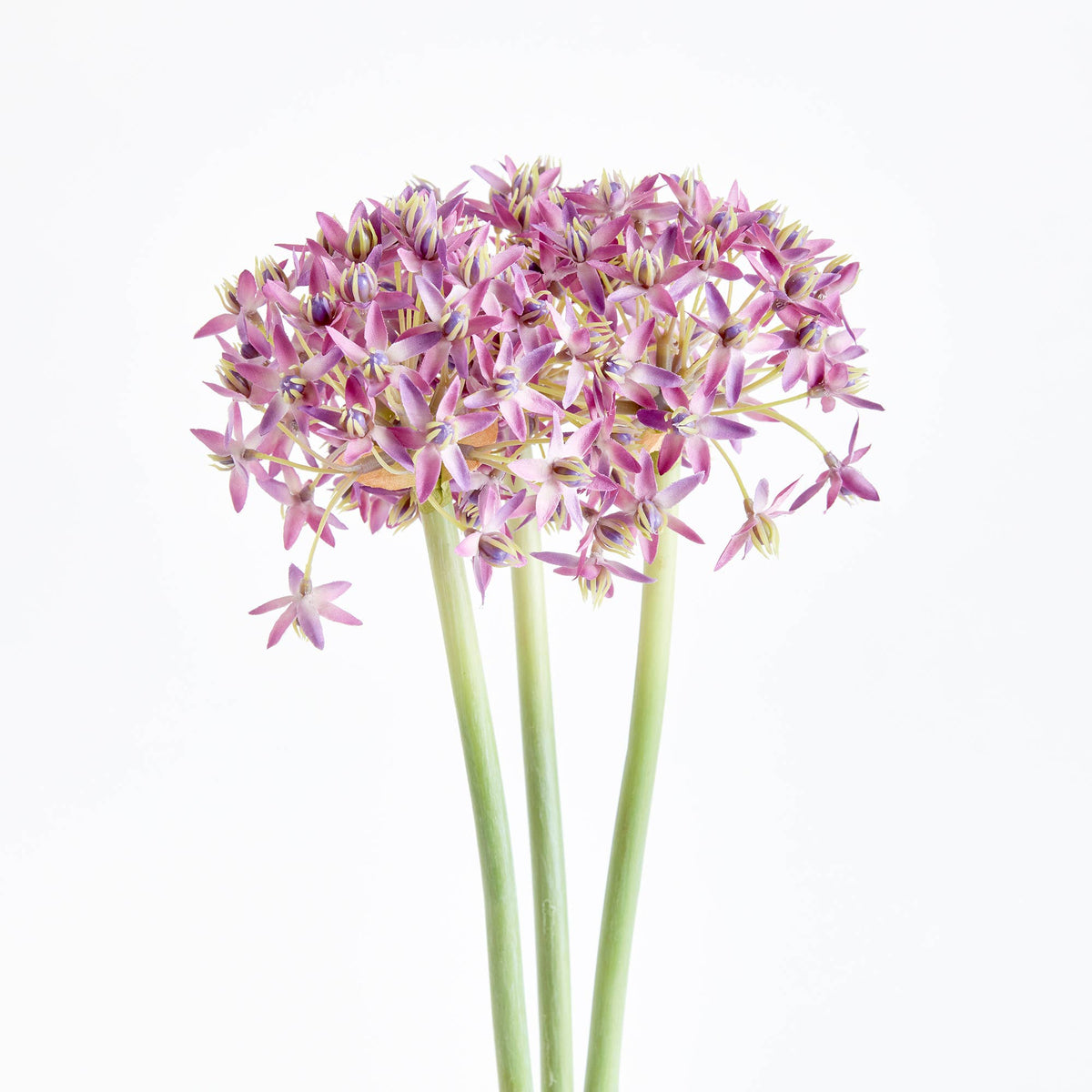 Allium Stems, Light Purple: PURPLE / POLYESTER/PLASTIC/WIRE