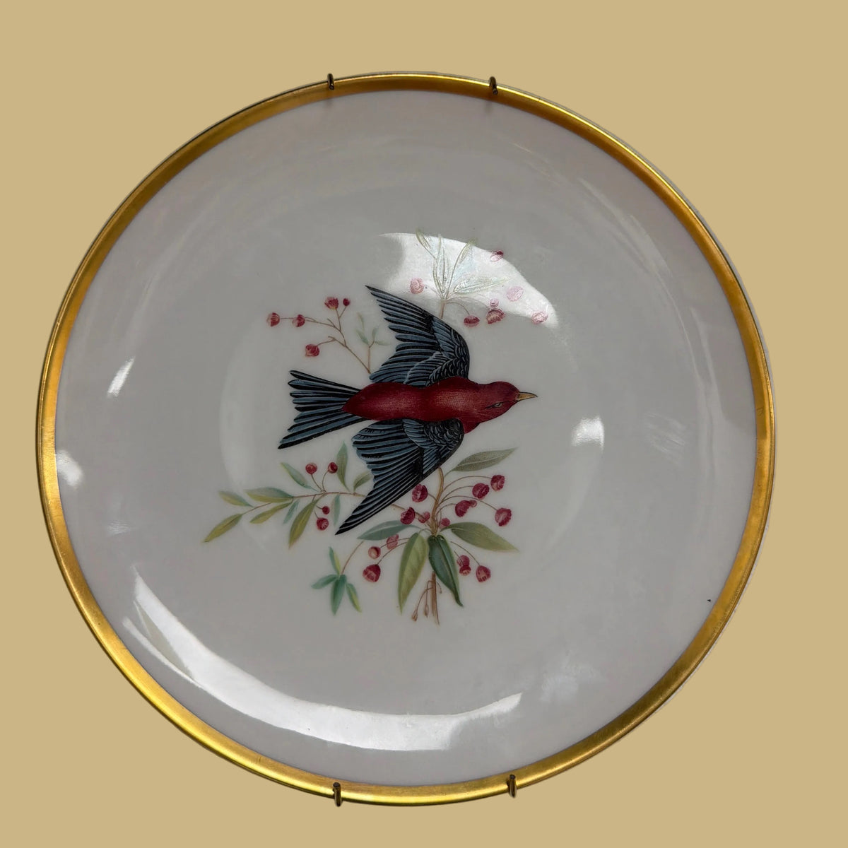 Hutschenreuther Audubon Scarlet Tanager