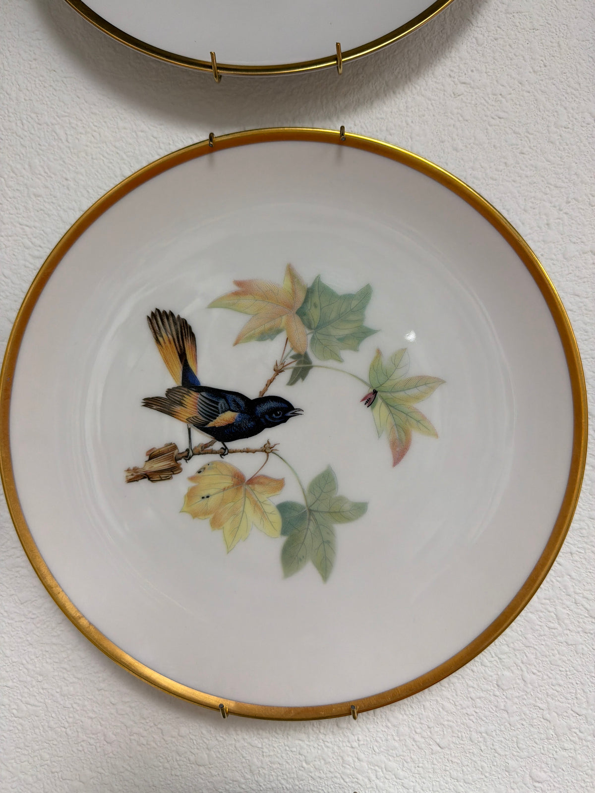 Lorenz Hutschenreuther Audubon Bird Redstart