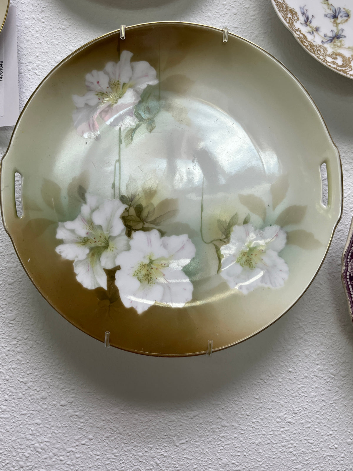 Antique RS German Hand-Painted Plate