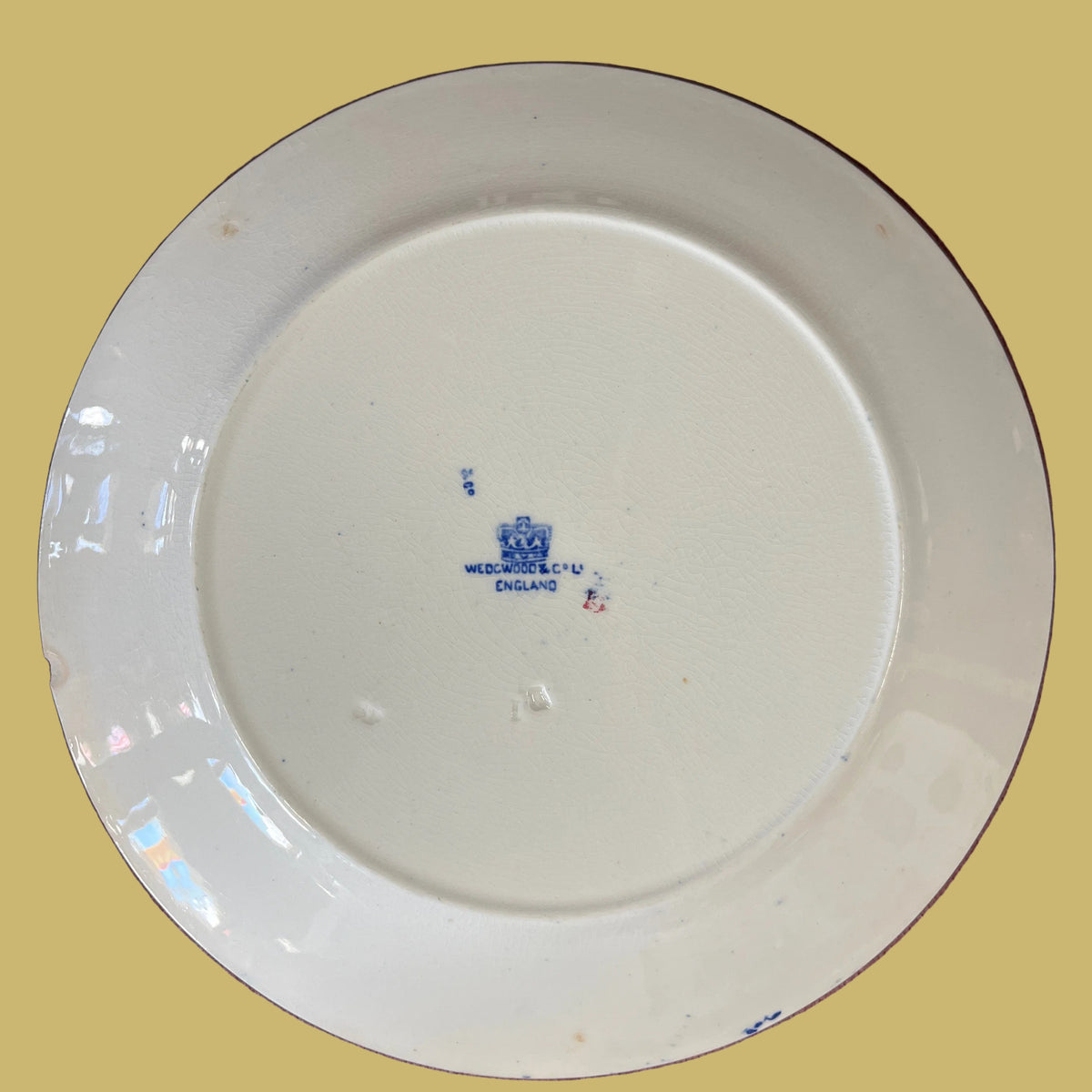 Vintage Blue Willow Plate Wedgwood & Co.