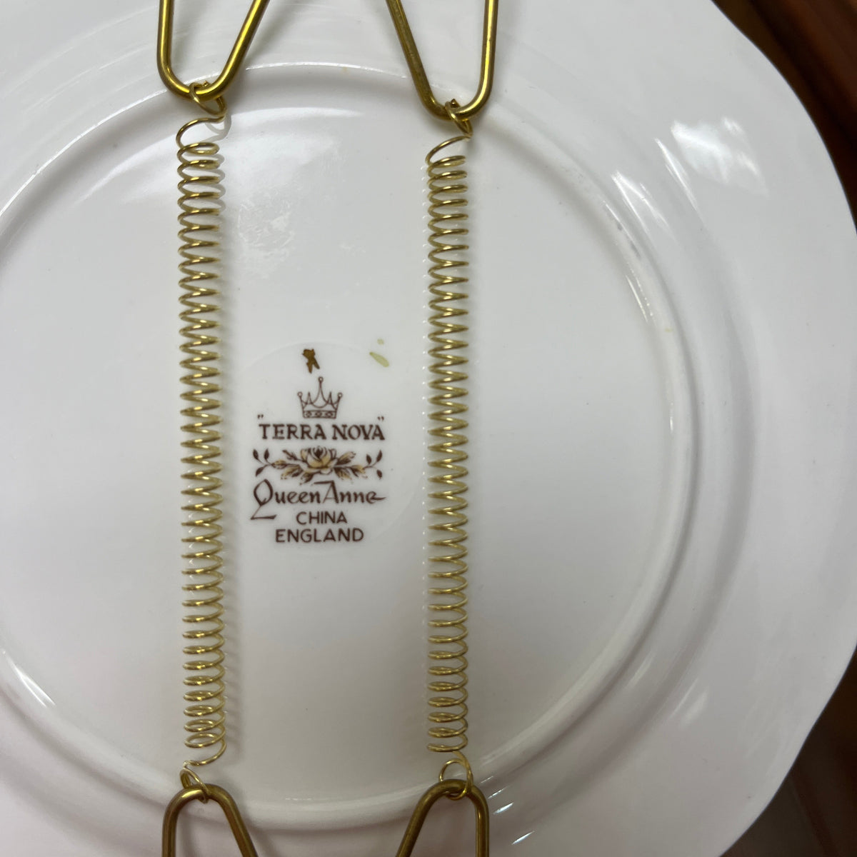 Vintage English Queen Anne 'Terra Nova' Plate