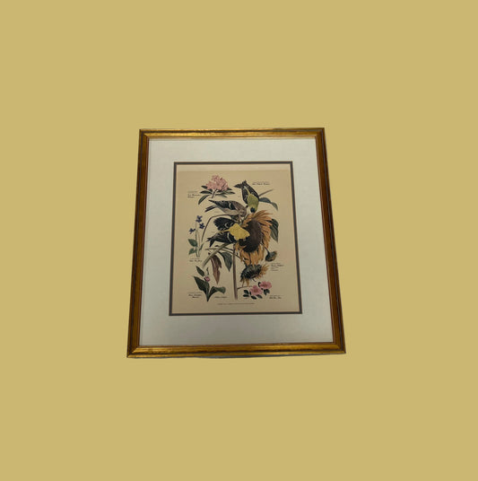 Vintage Arthur Singer Print # 6 featuring Goldfinches & Flora