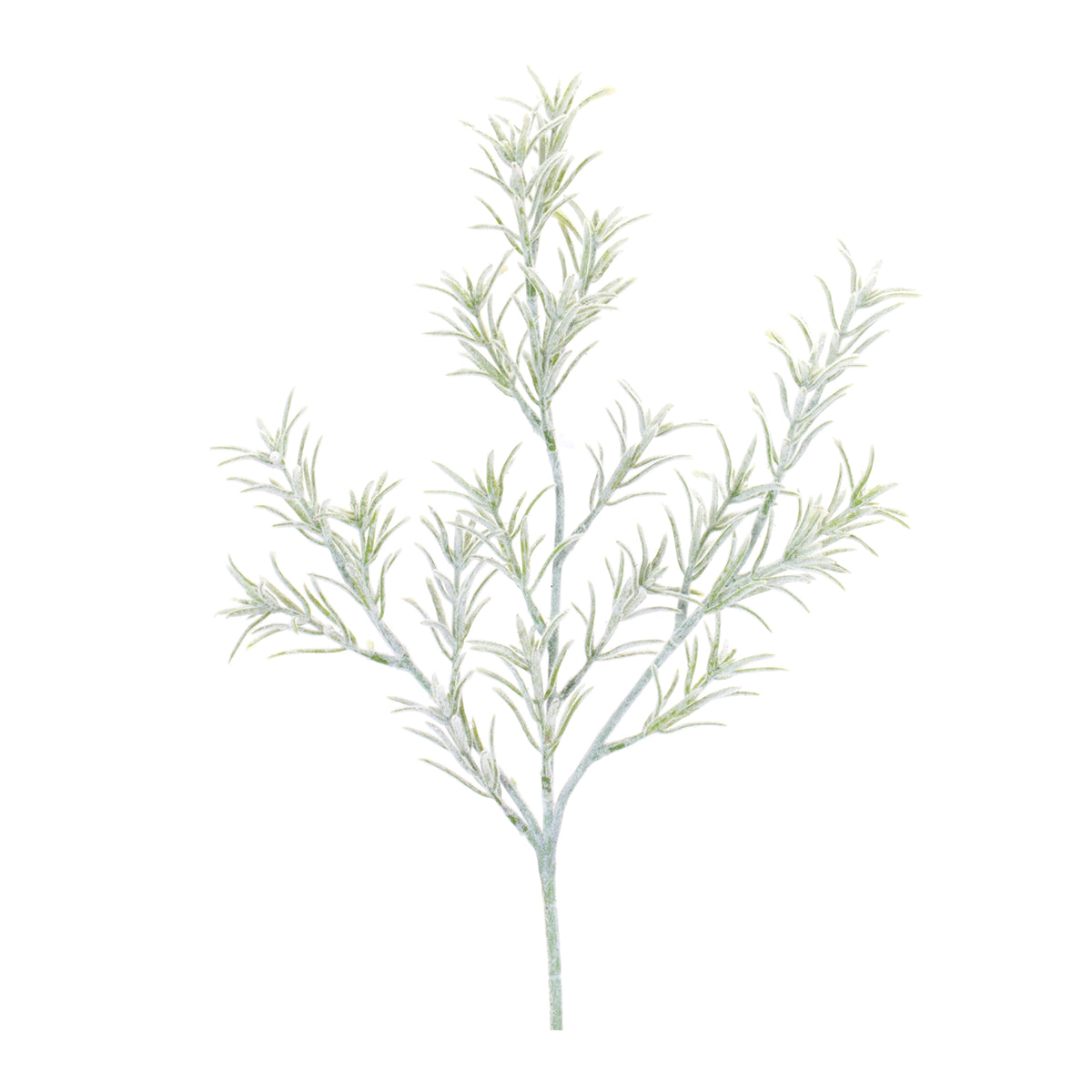 Rosemary Spray, 20.5 H