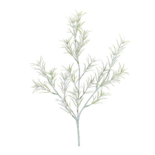 Rosemary Spray, 20.5 H