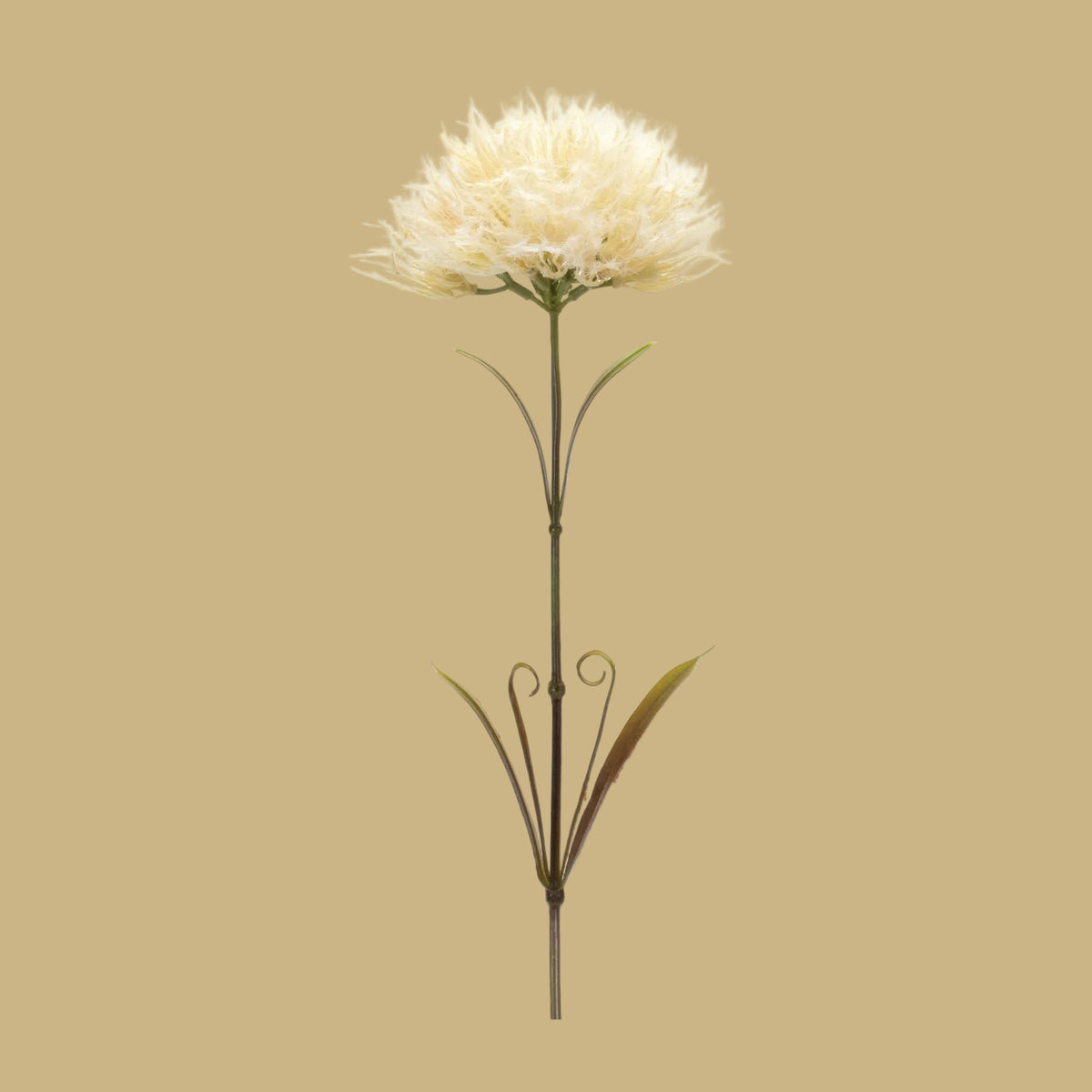 Puff Stem, 24” H