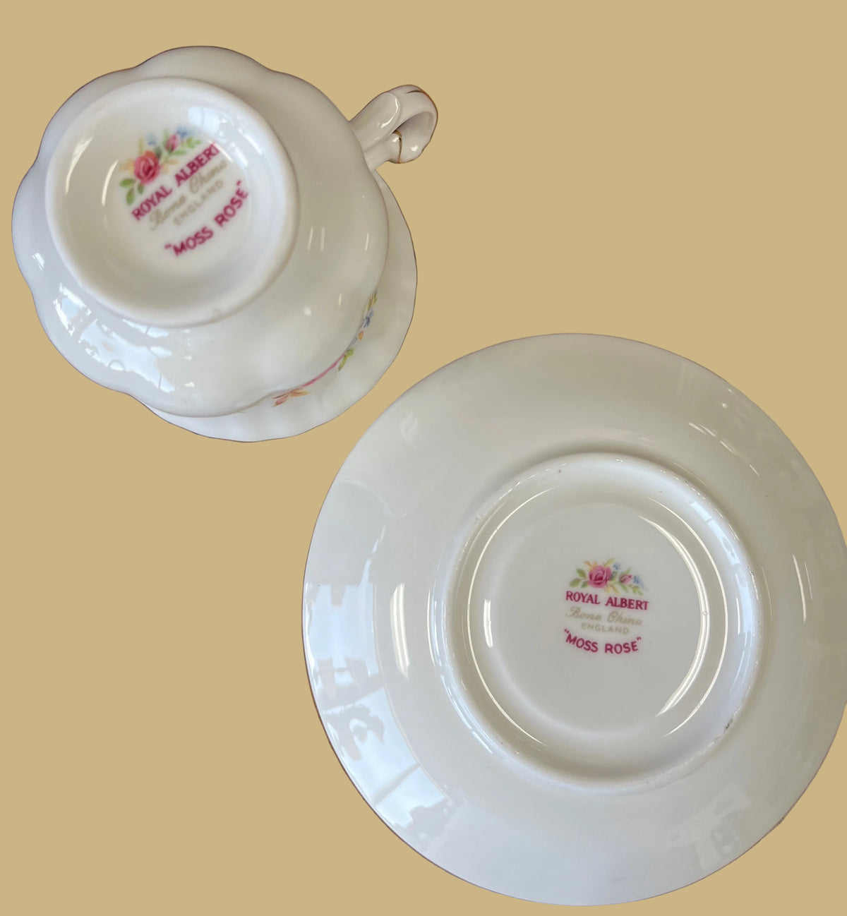 Royal Albert "Moss Rose" pattern teacup & saucer