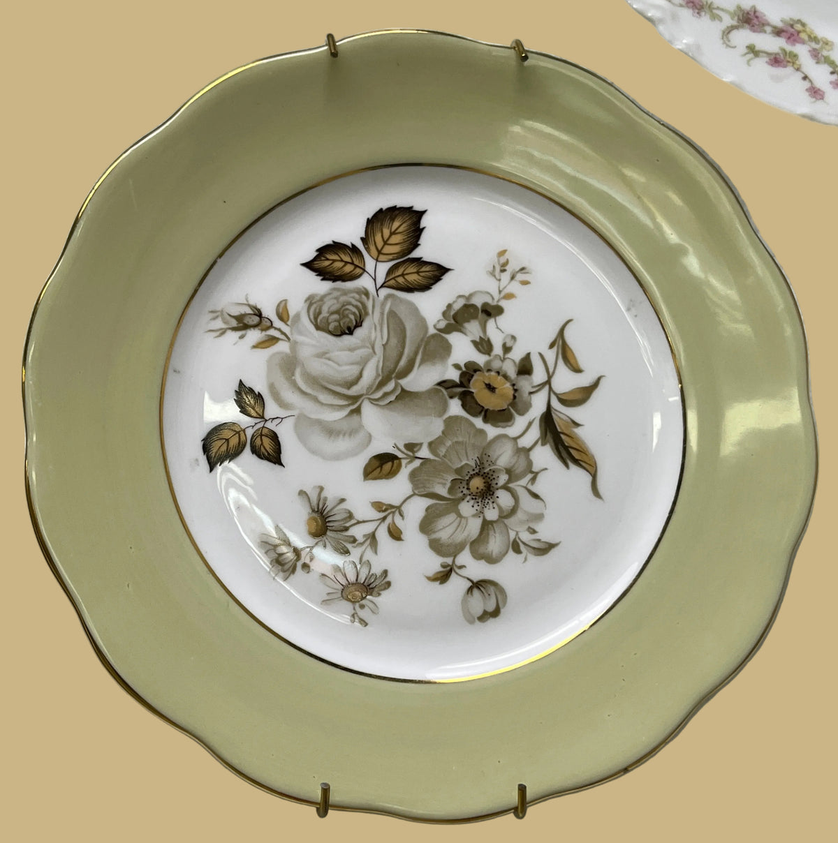 Vintage English Queen Anne 'Terra Nova' Plate