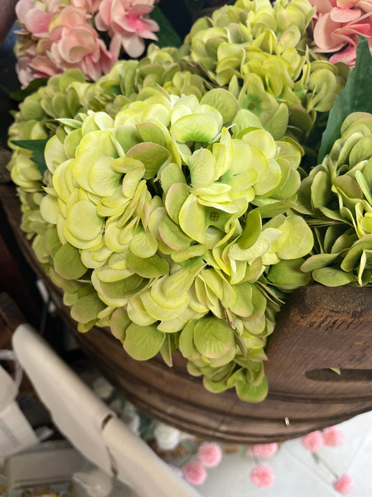 Hydrangea Stem 21” H, Green