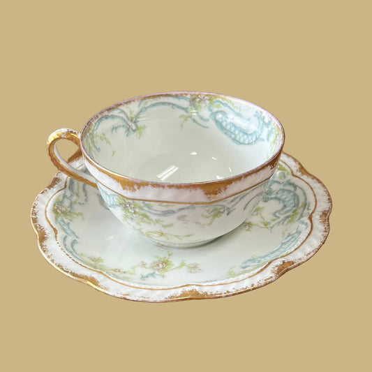 Haviland Tea Cup & Saucer/Rare Pattern