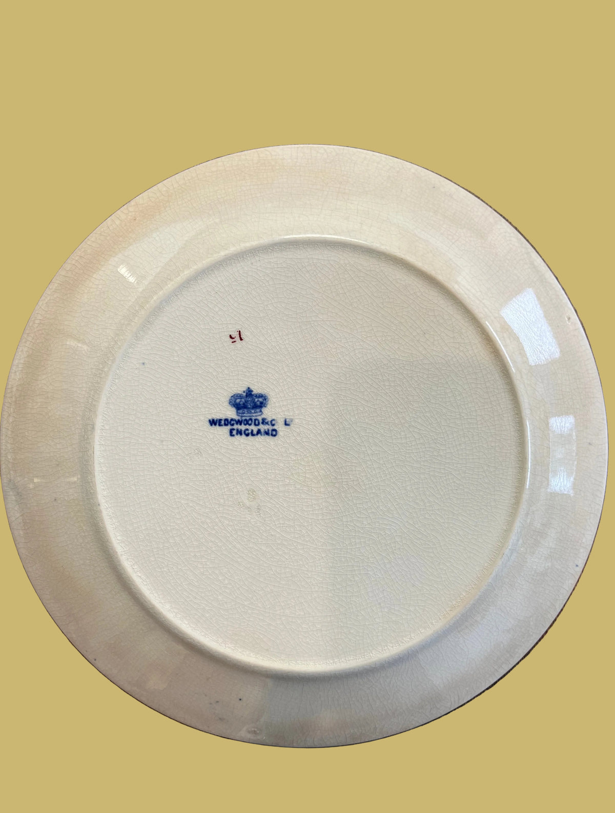 Vintage Blue Willow Plate Wedgwood & Co.