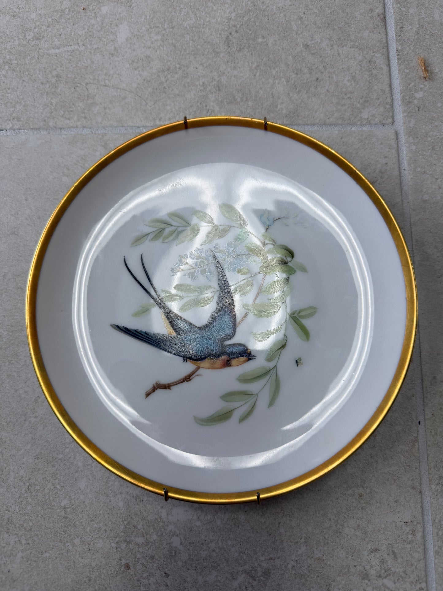 Hutschenreuther Audubon bird Salad Plate depicting a Barn Swallow