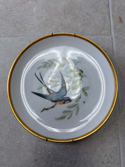 Hutschenreuther Audubon bird Salad Plate depicting a Barn Swallow