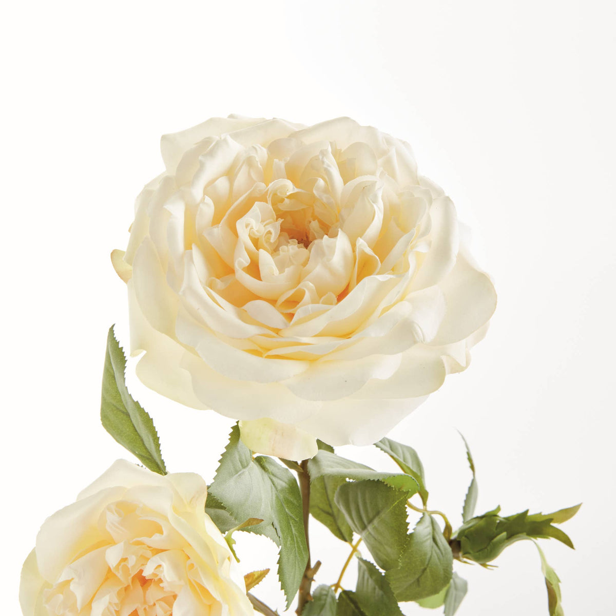 English Rose Faux Floral Stems, Cream