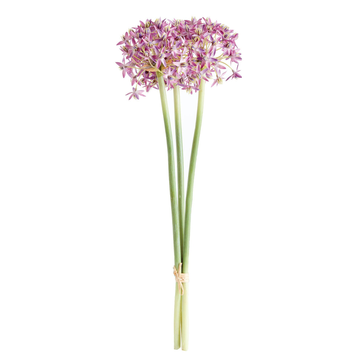 Allium Stems, Light Purple: PURPLE / POLYESTER/PLASTIC/WIRE
